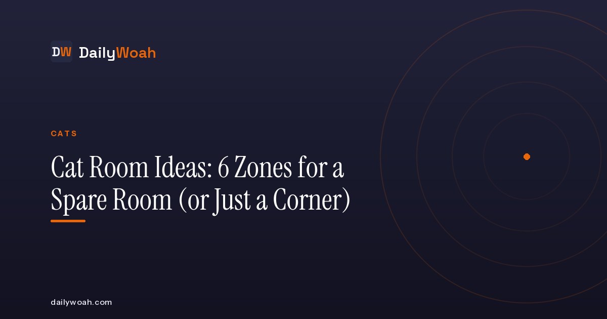 Cat Room Ideas: 6 Zones for a Spare Room (or Just a Corner)
