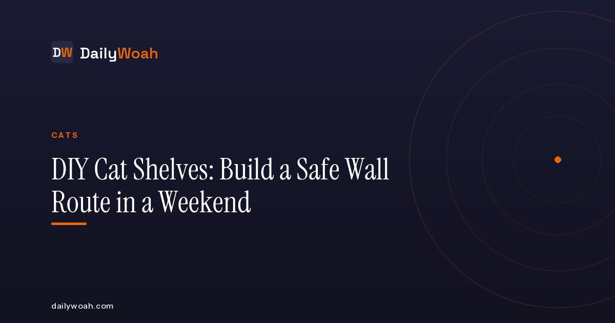 DIY Cat Shelves: Build a Safe Wall Route in a Weekend