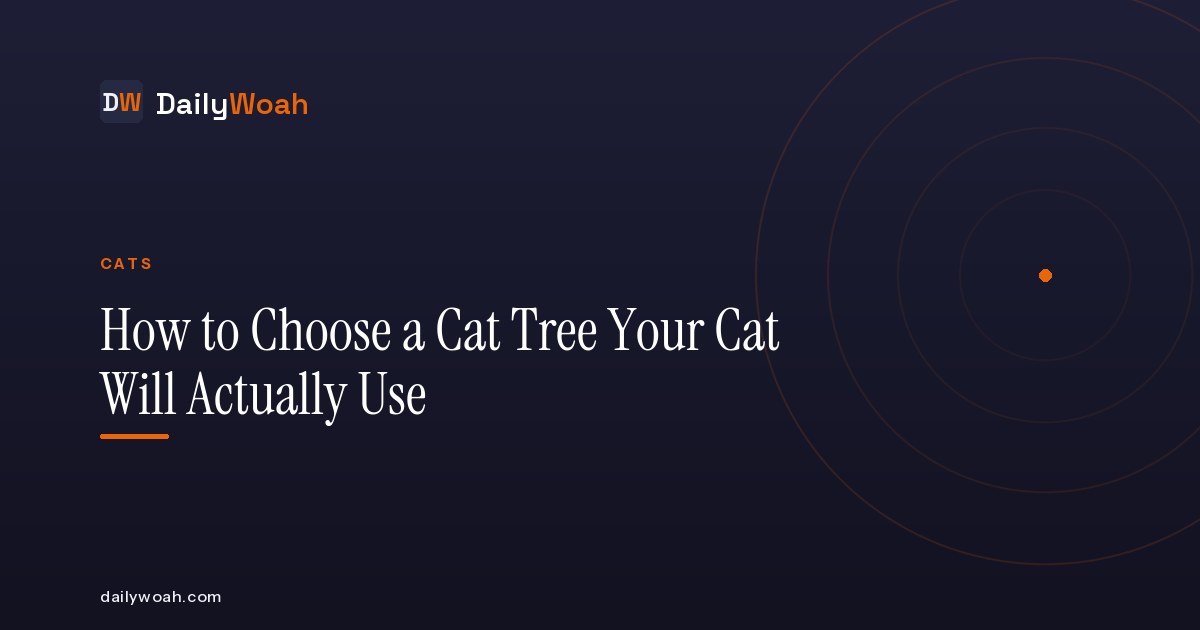 How to Choose a Cat Tree Your Cat Will Actually Use