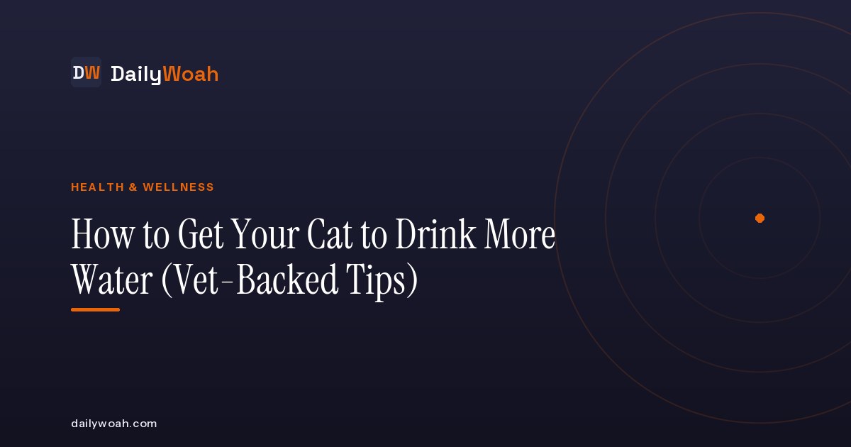 How to Get Your Cat to Drink More Water (Vet-Backed Tips)