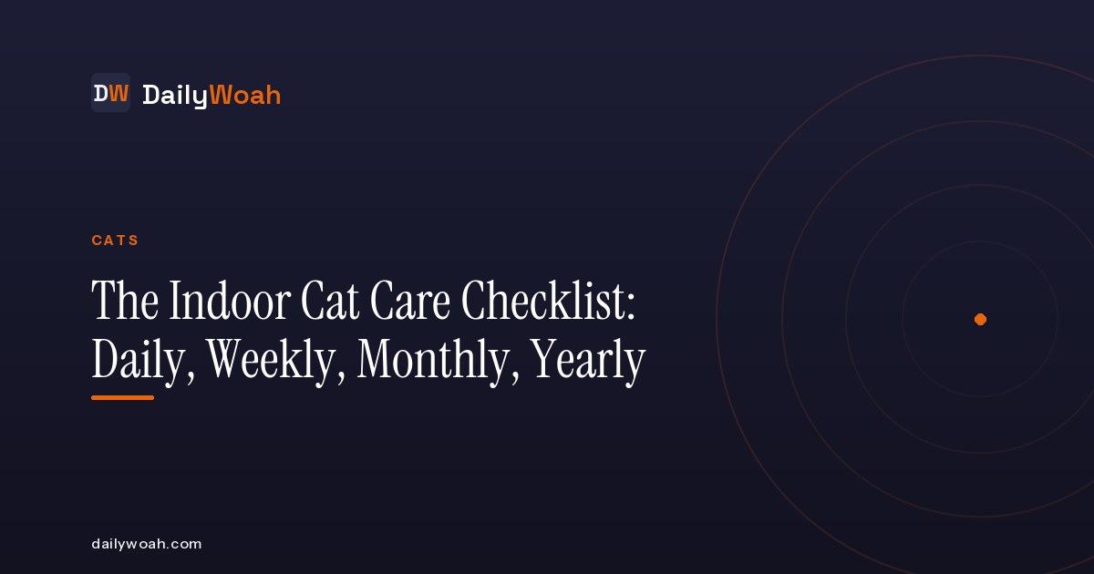 The Indoor Cat Care Checklist: Daily, Weekly, Monthly, Yearly