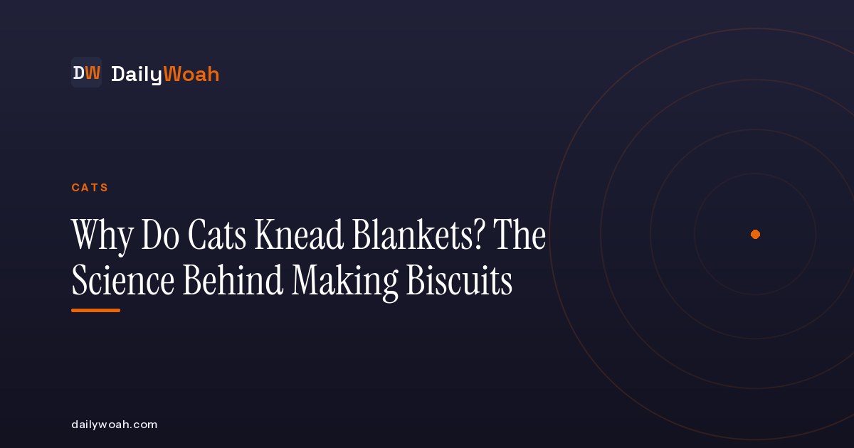 Why Do Cats Knead Blankets? The Science Behind Making Biscuits
